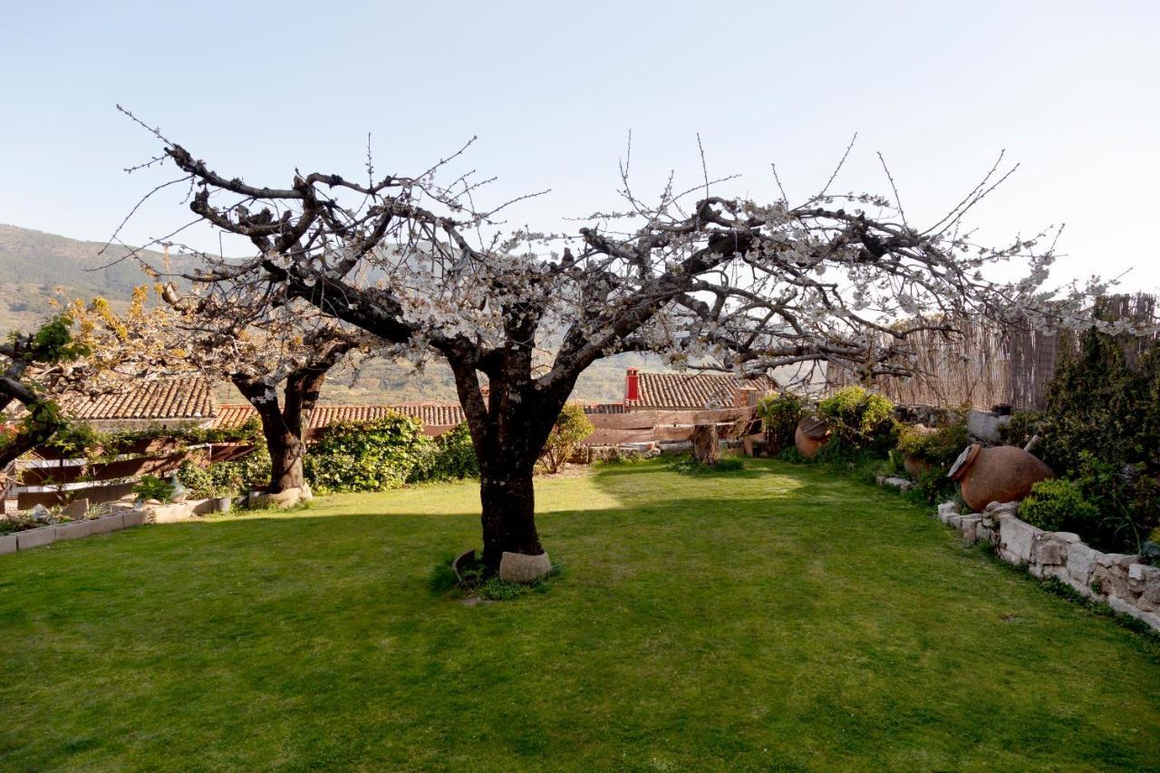 La Higuera Villa Villarejo del Valle Ngoại thất bức ảnh